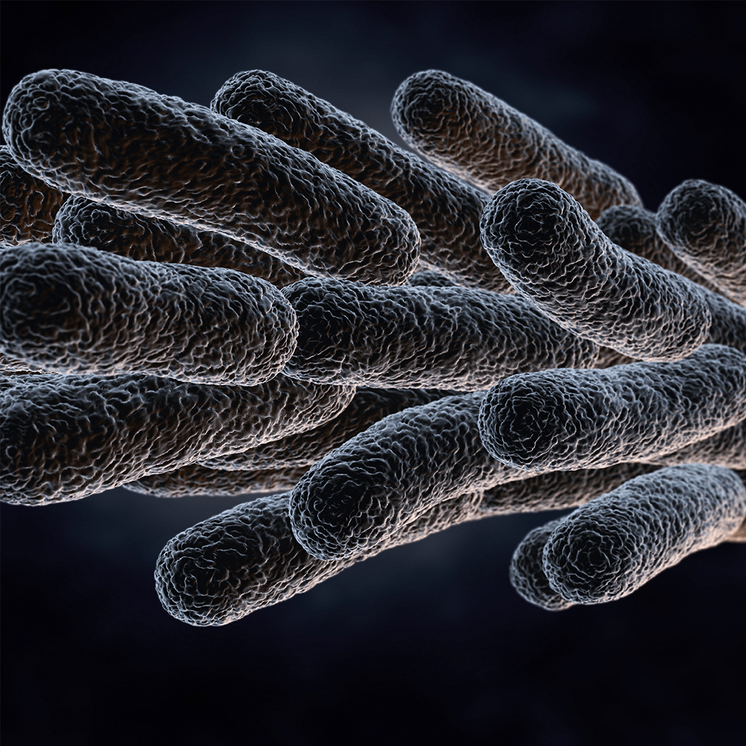 legionella-pneumophila-bacteria-2021-08-26-15-33-00-utc PREVENCIÓN DE LA LEGIONELA 100% ONLINE